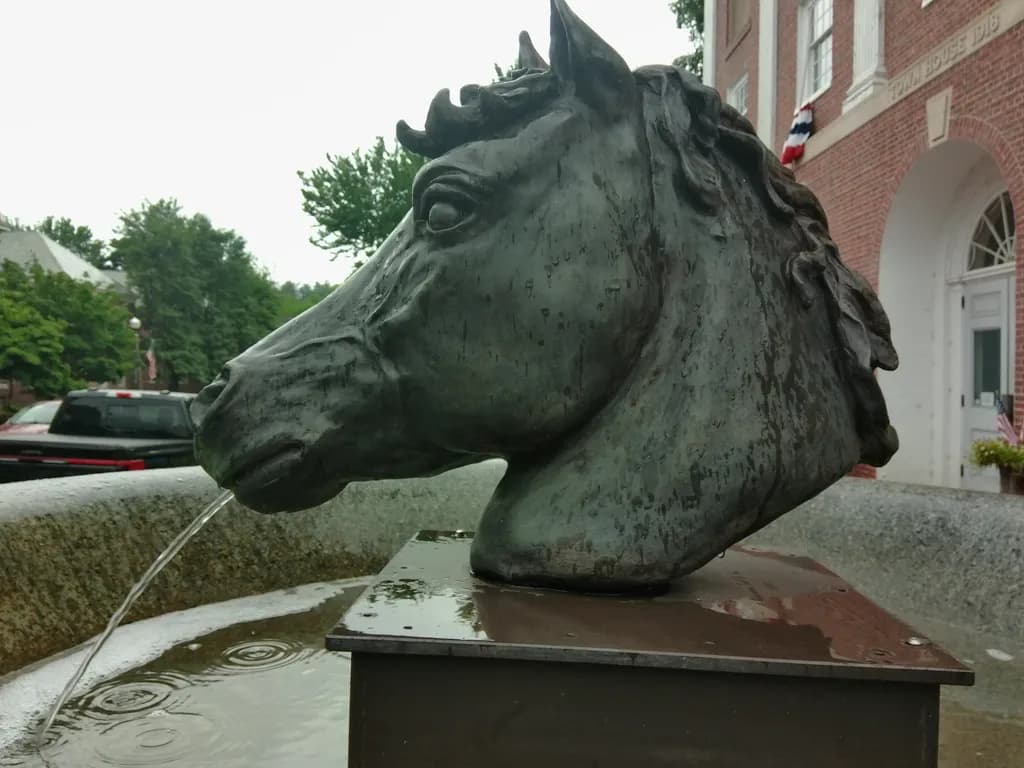 Equine Fountain Head