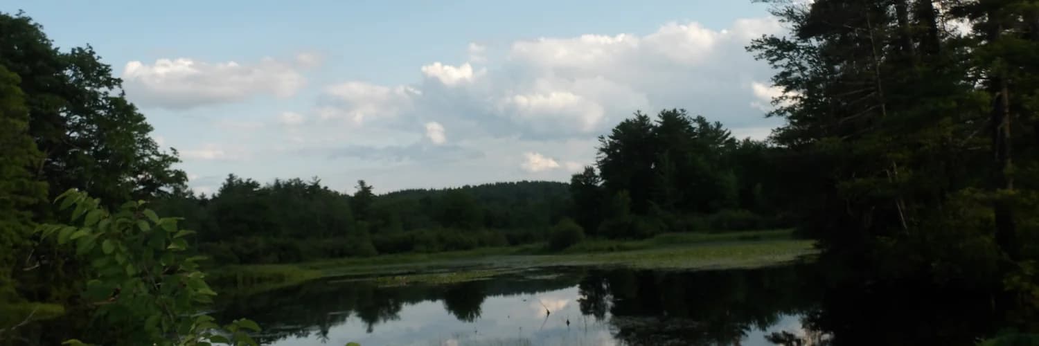 Profile banner