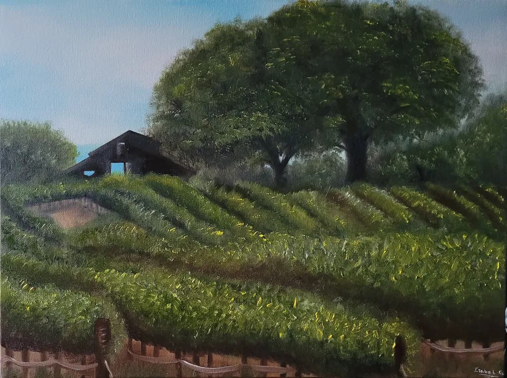 Hillside Vineyard