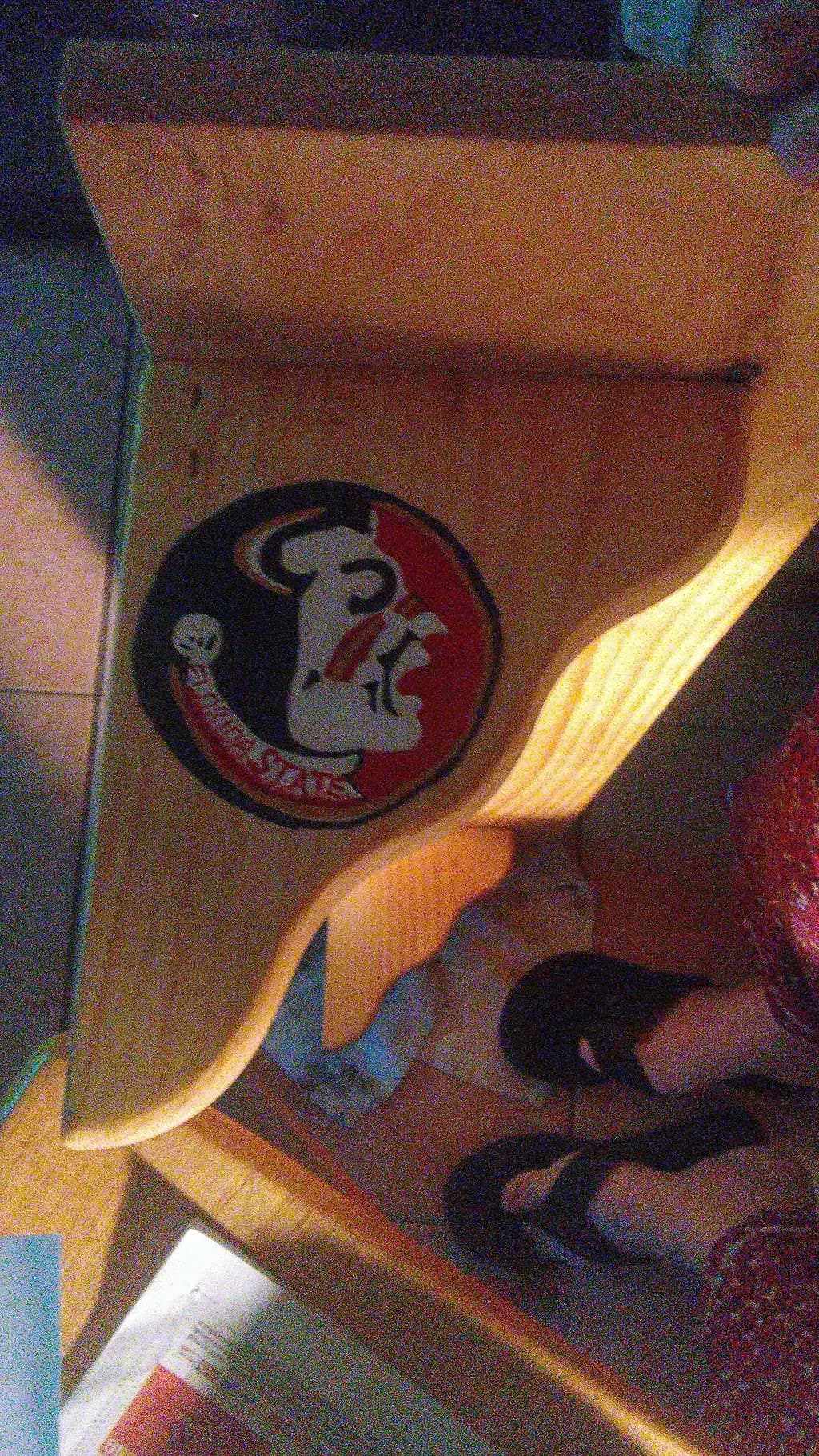 Seminole Spirit