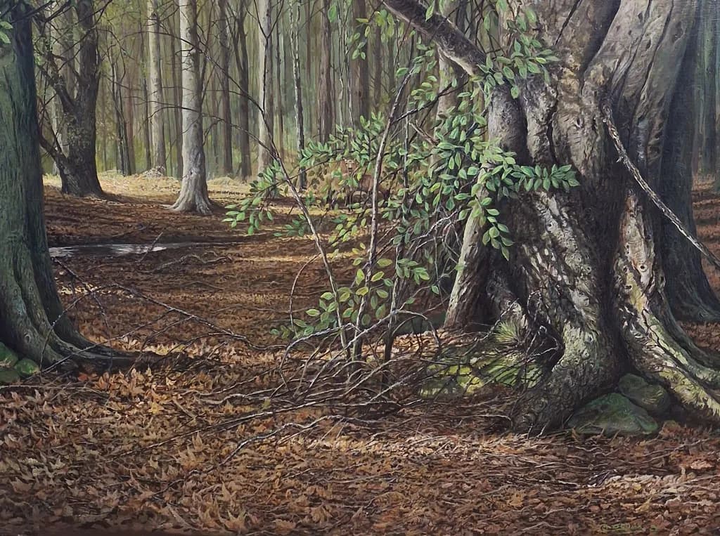 Forest Rootscape