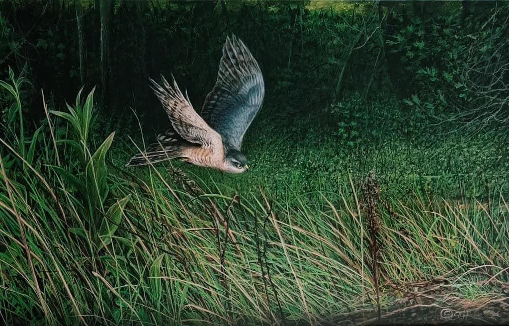 Silent Flight