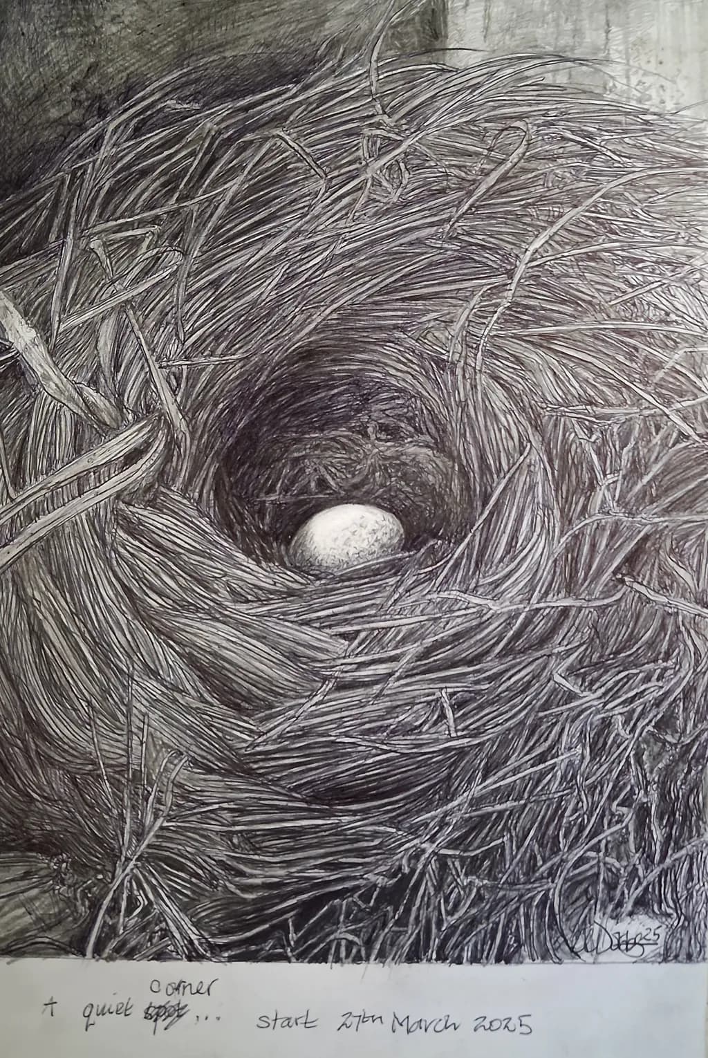 Quiet Corner Nest