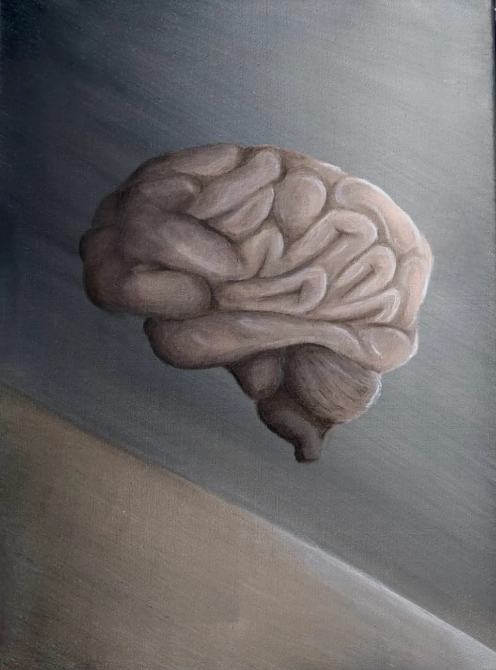 Contemplative Cortex