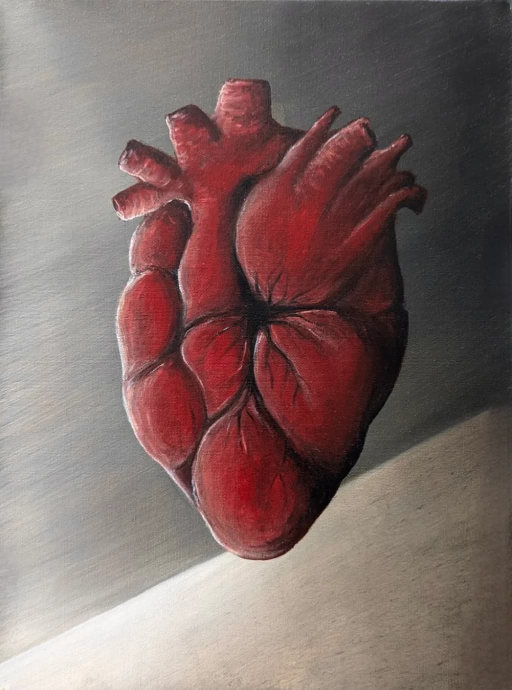 Red Heart Anatomy