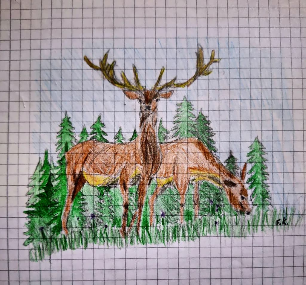 Forest Guardians