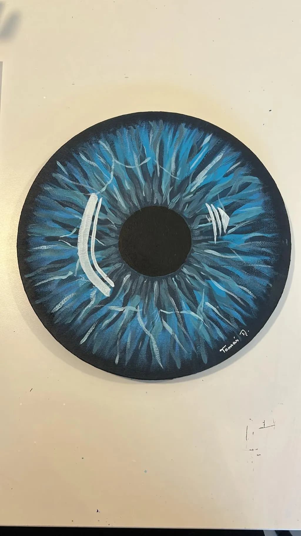 Iris Insight
