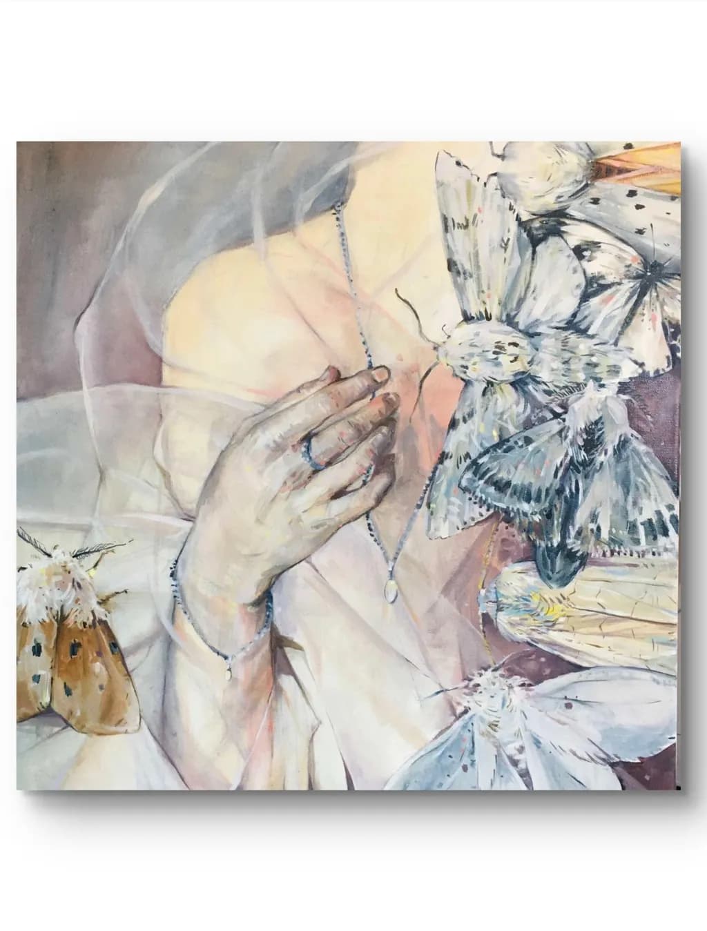 Veil of Moths