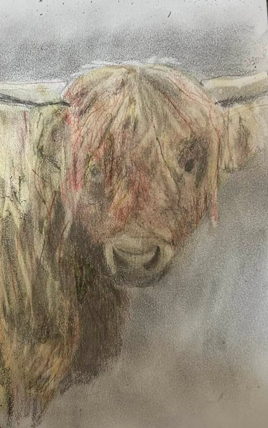 Highland Gaze