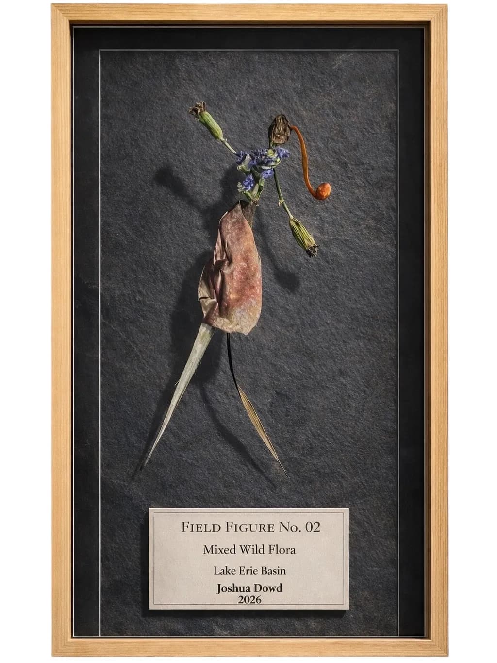 Field Figure No. 02