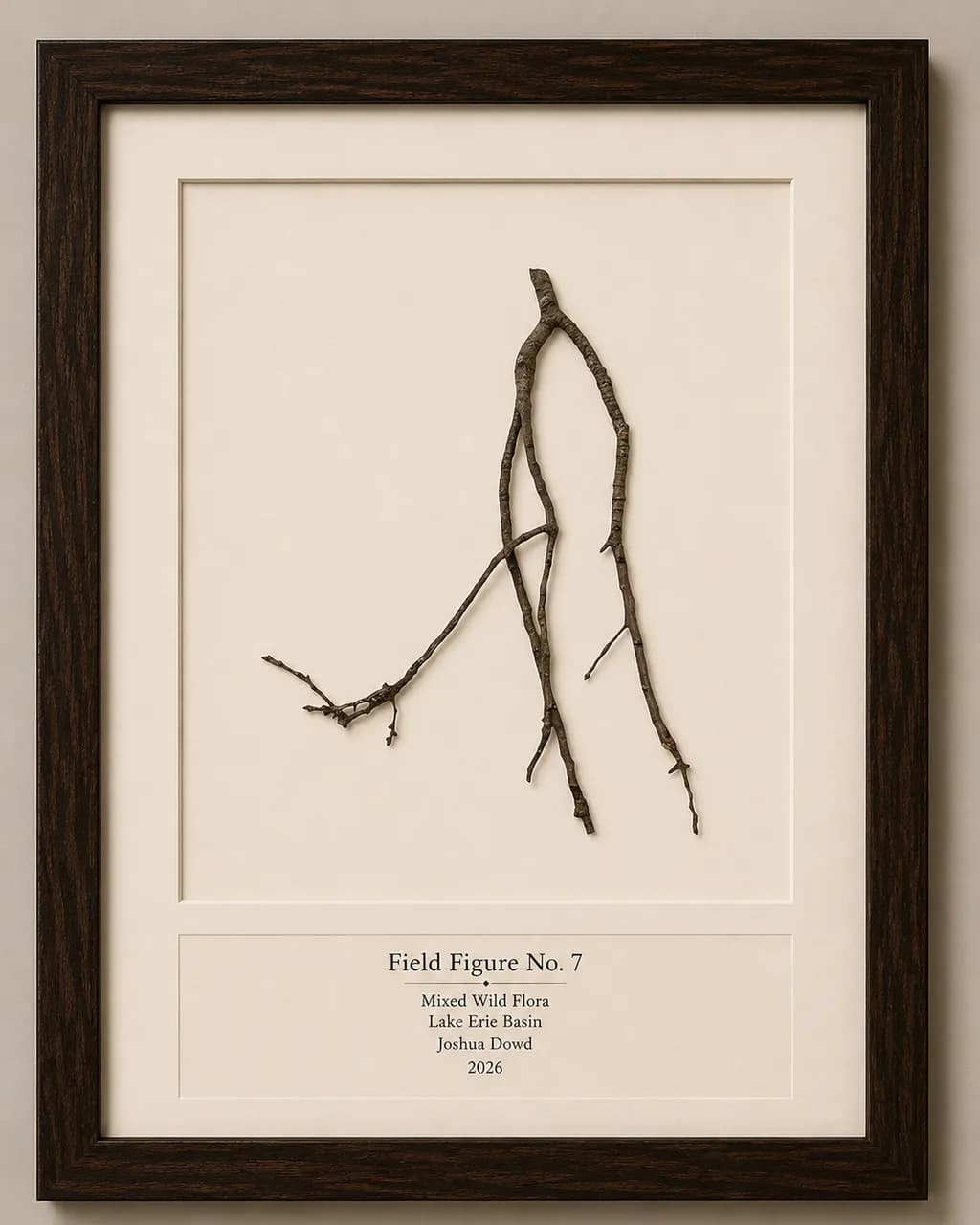 Field Figure No. 7