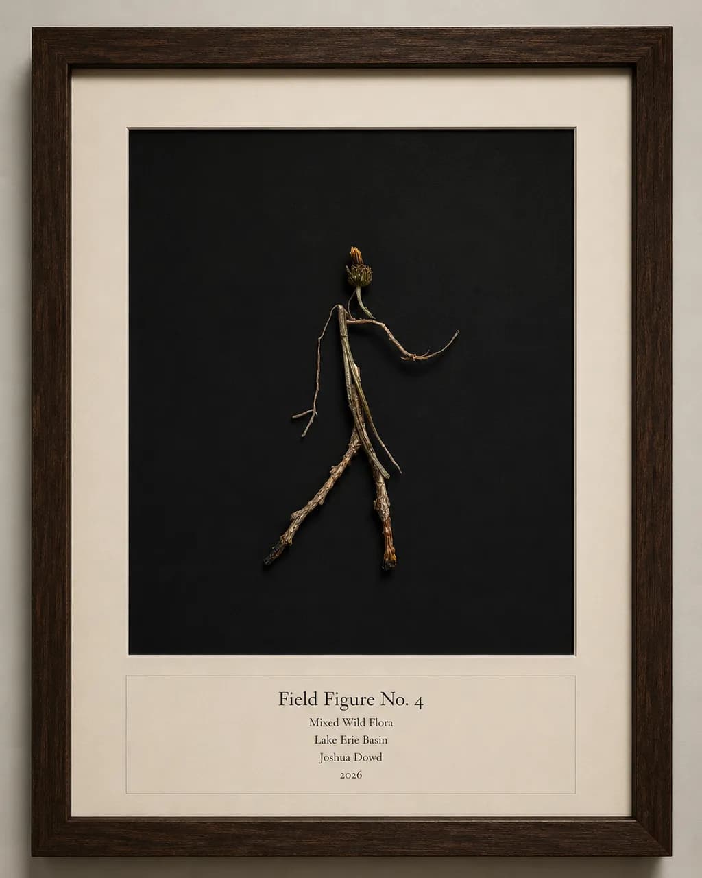 Field Figure No. 4