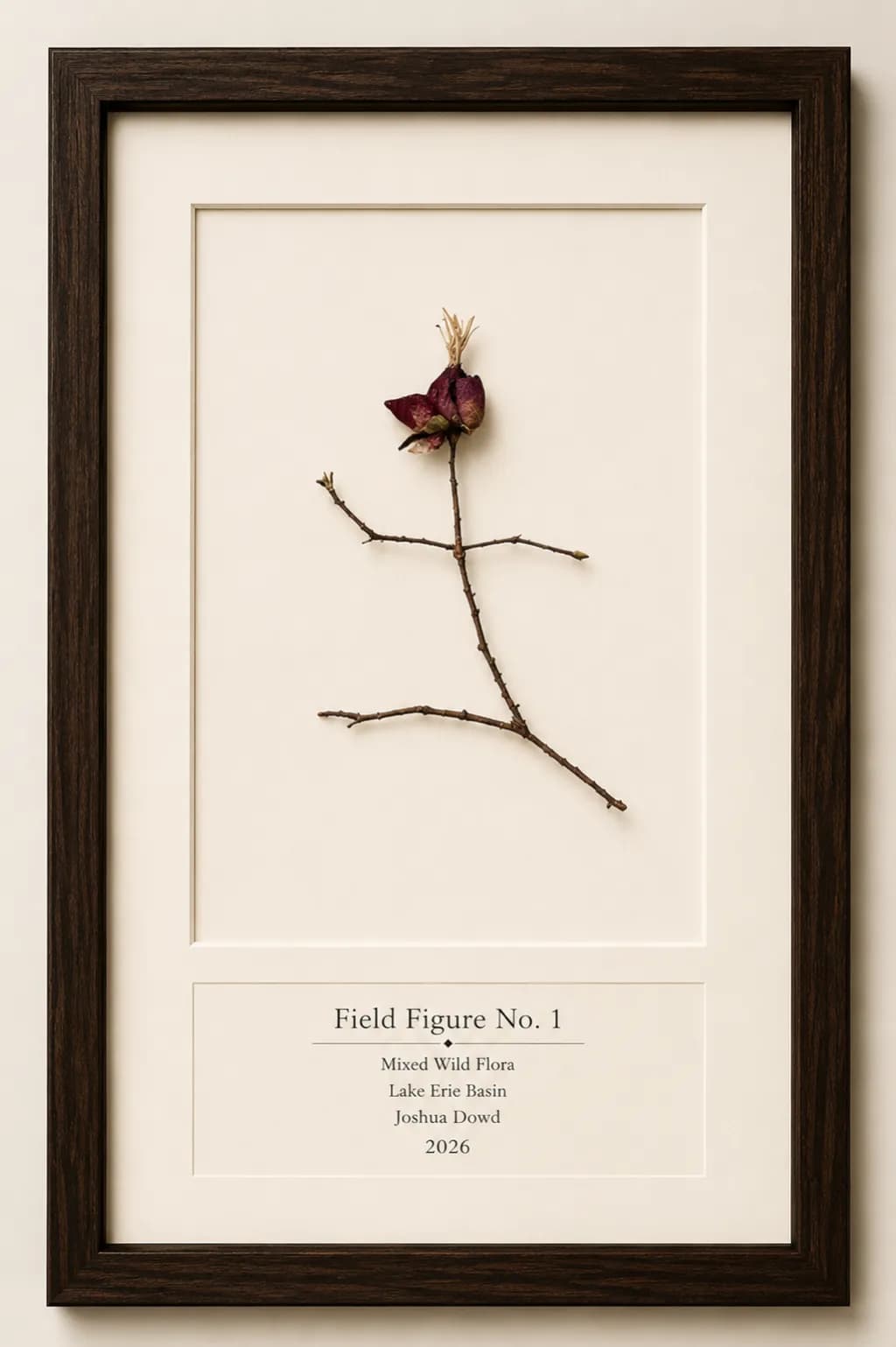 Field Figure No. 1