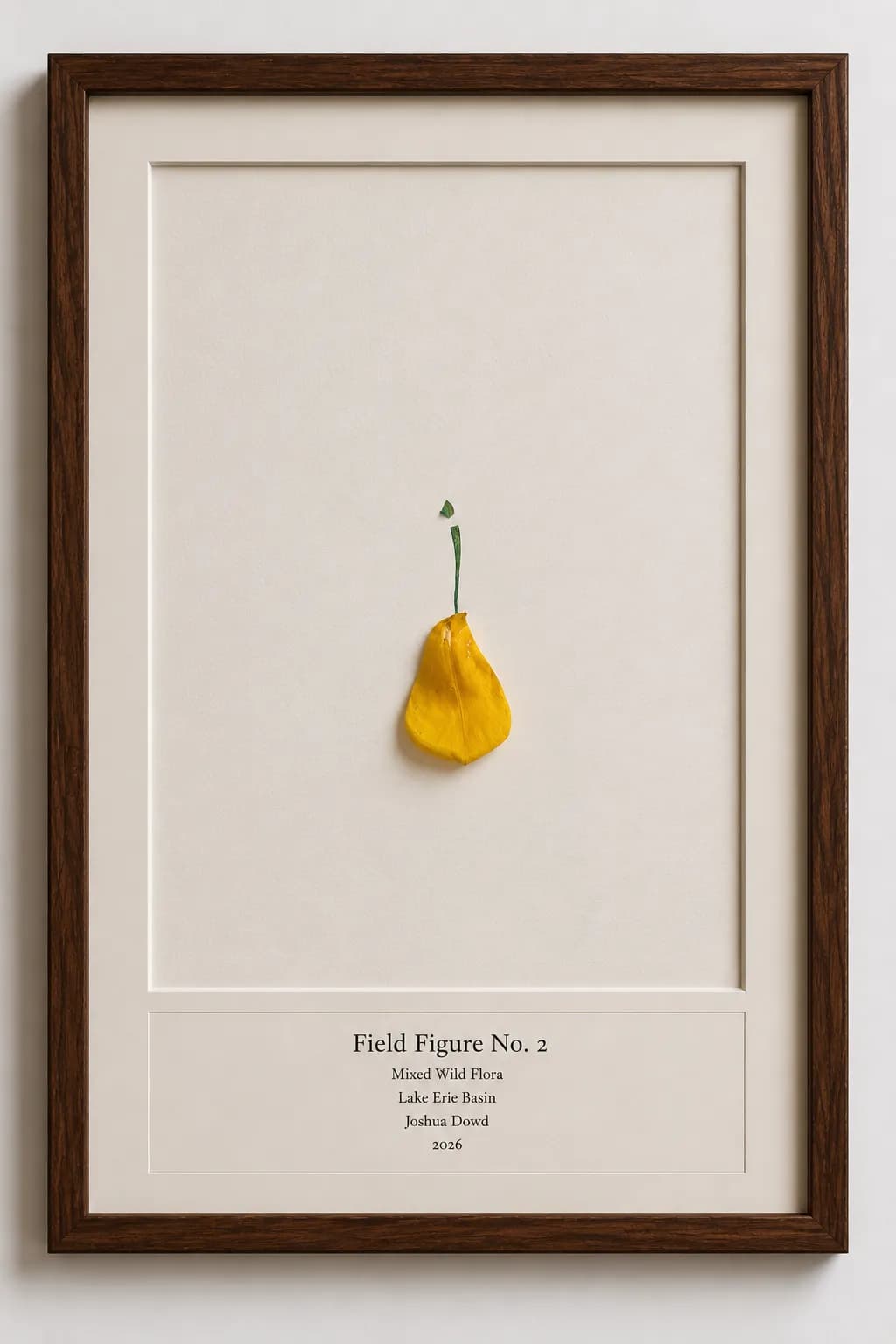 Field Figure No. 2