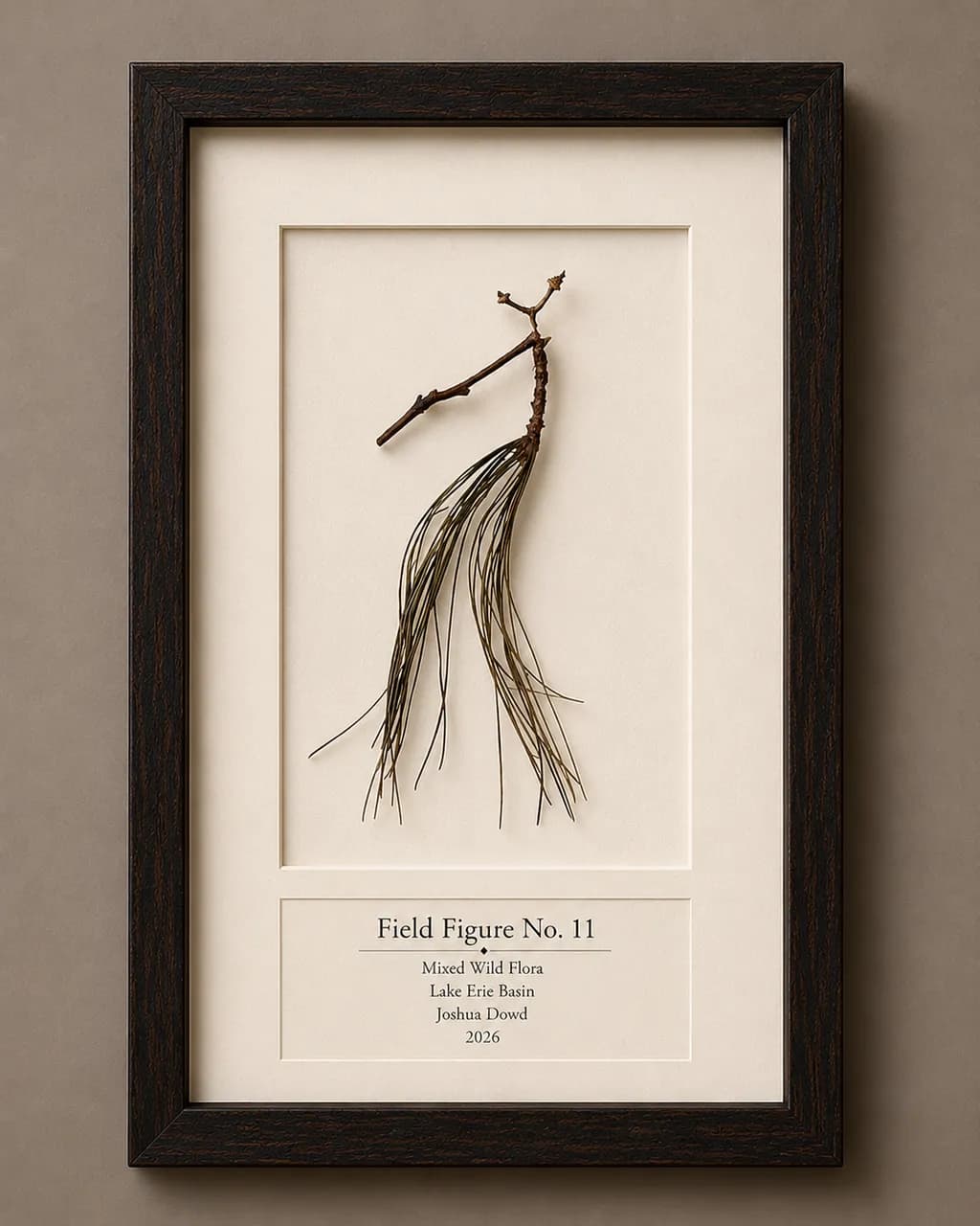 Field Figure No. 11
