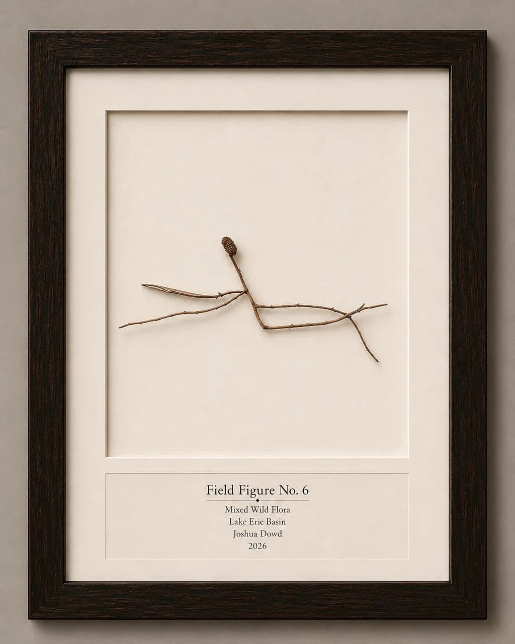 Field Figure No. 6