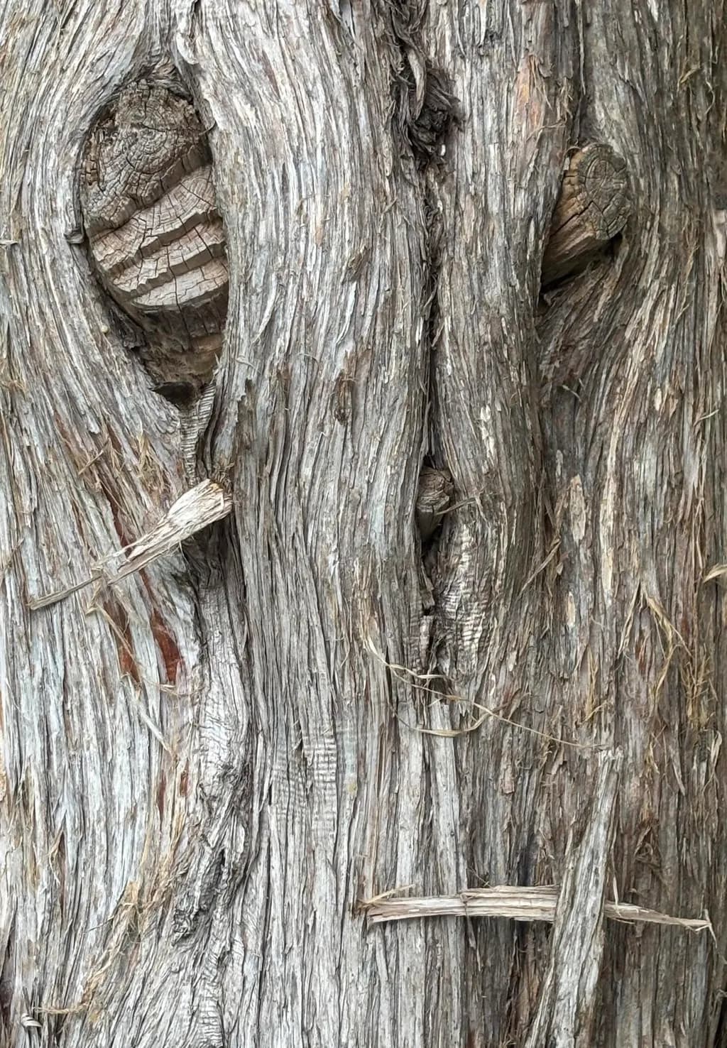 Cruceiform Texture
