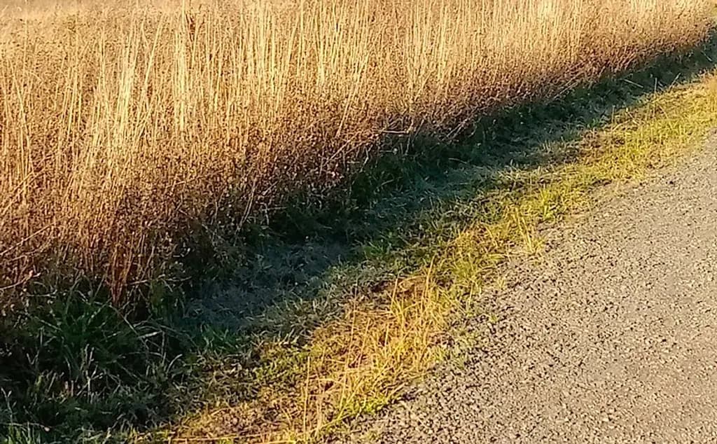 Shadow Divide