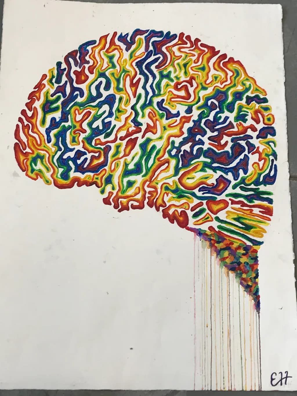 Chromatic Cortex
