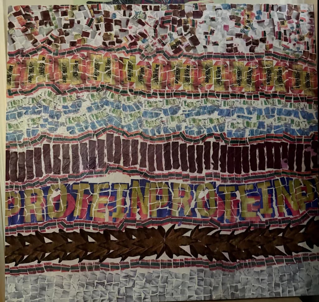 Fragmented Protein Layers