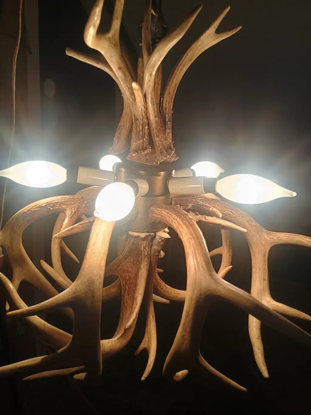 Antler Radiance