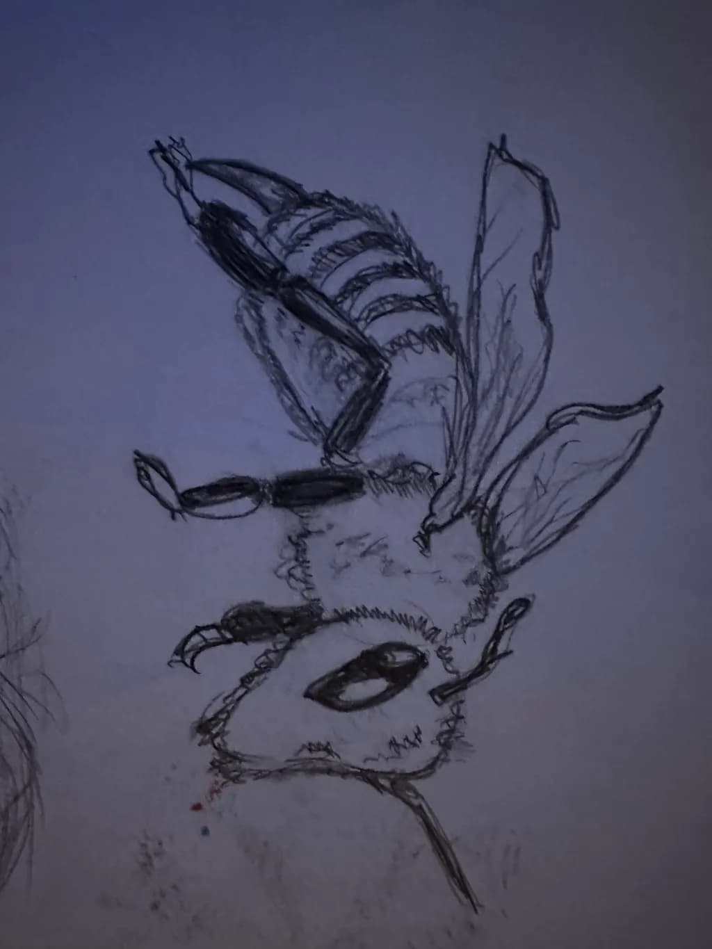 Buzzing Anatomy
