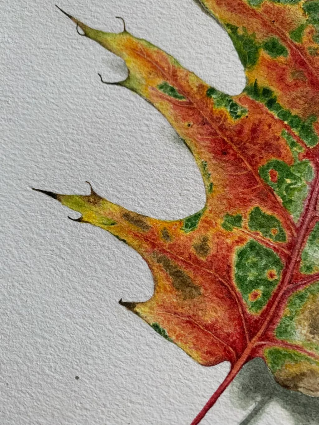 Autumn Mosaic