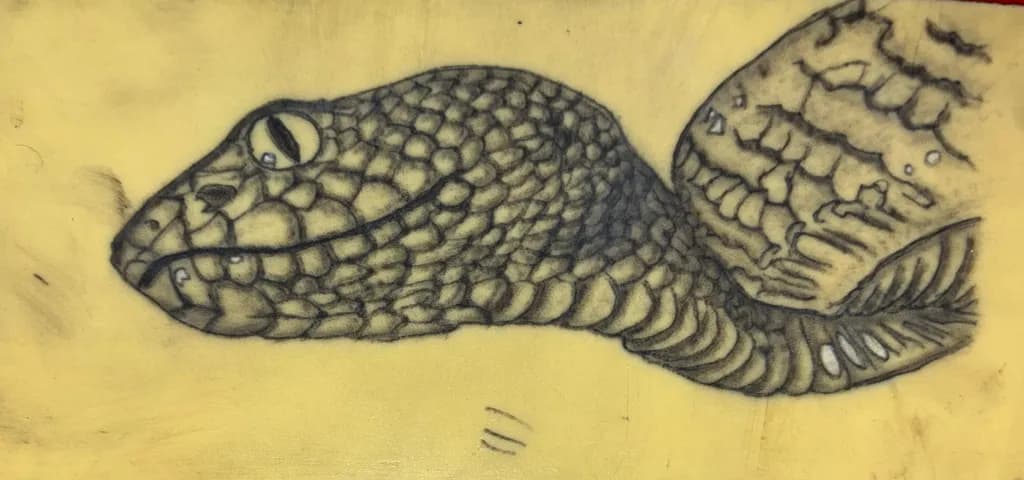 Scaled Gaze