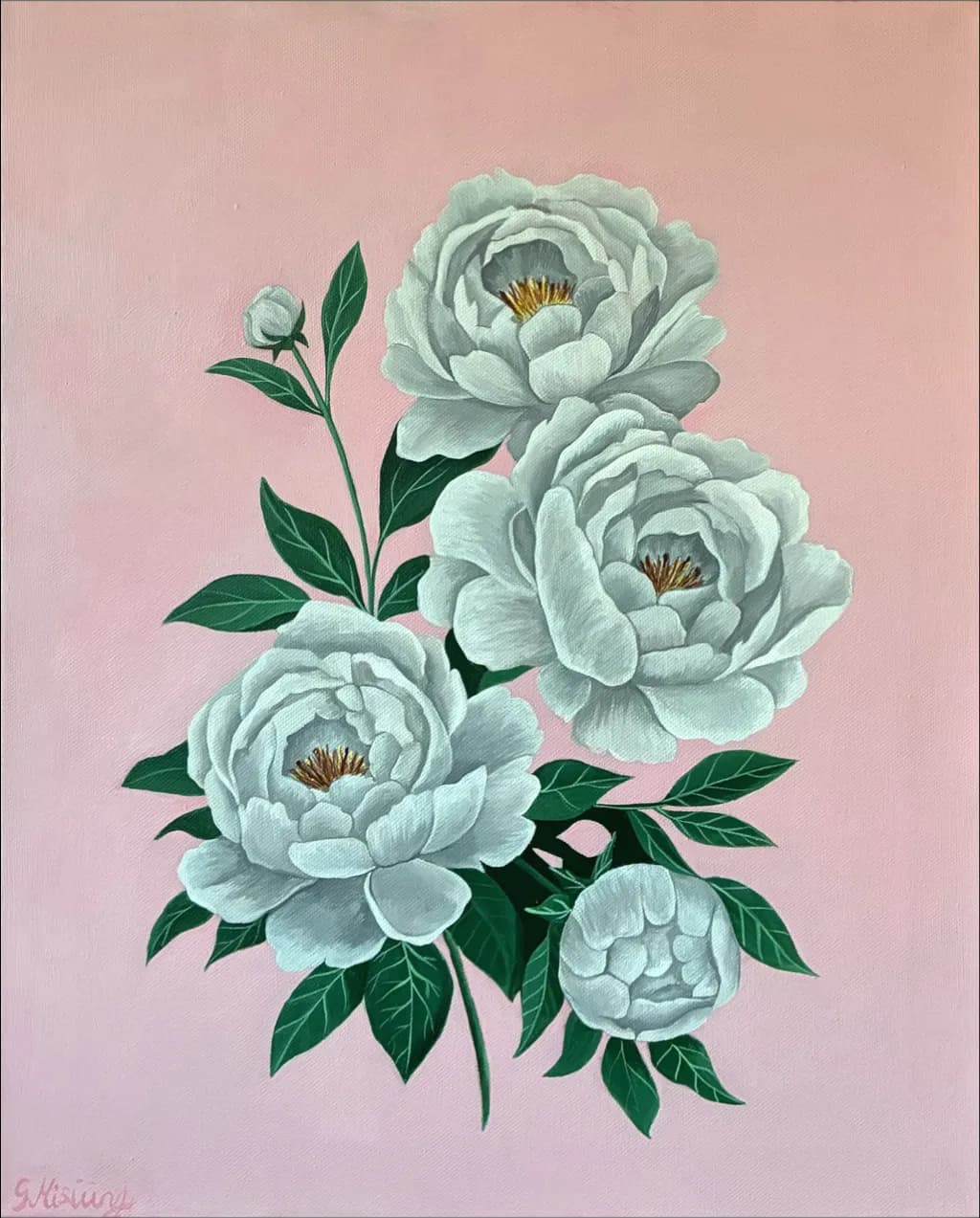 White Peonies on Pink