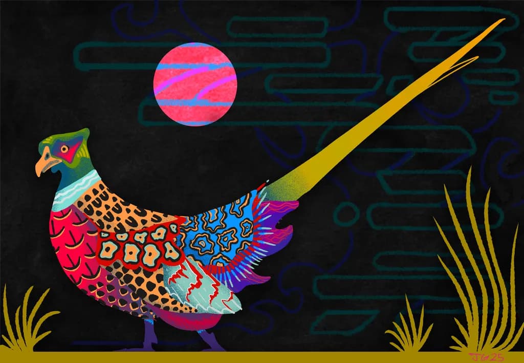 Patterned Pheasant