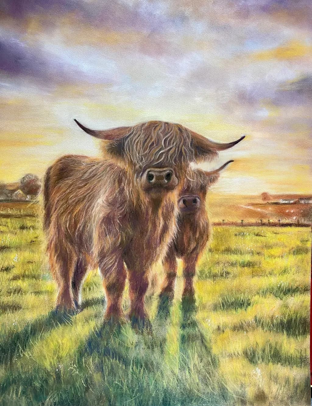 Highland Companions