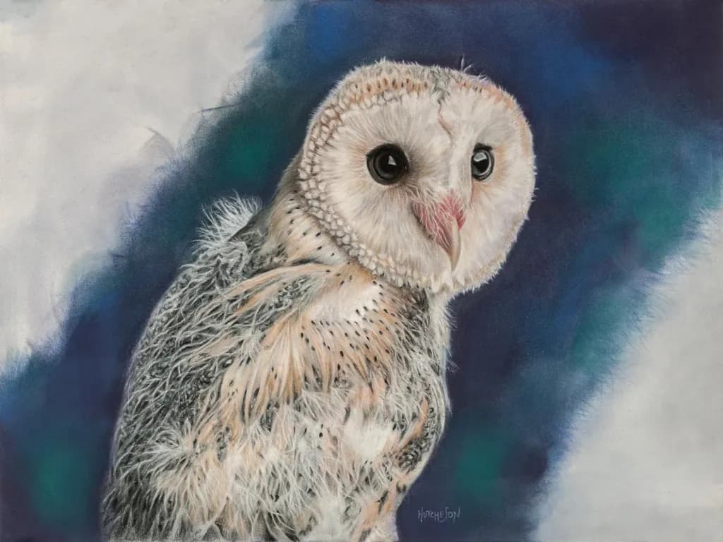 Quiet Watcher