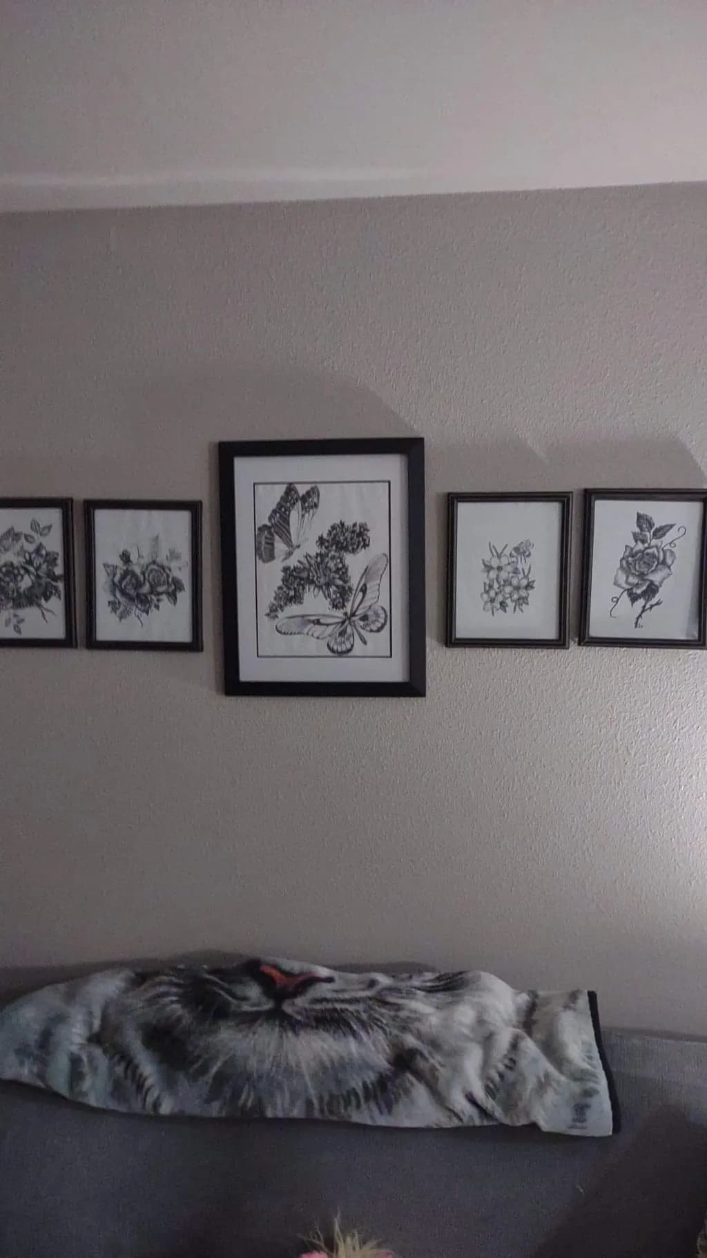 Botanical Sketches Trio