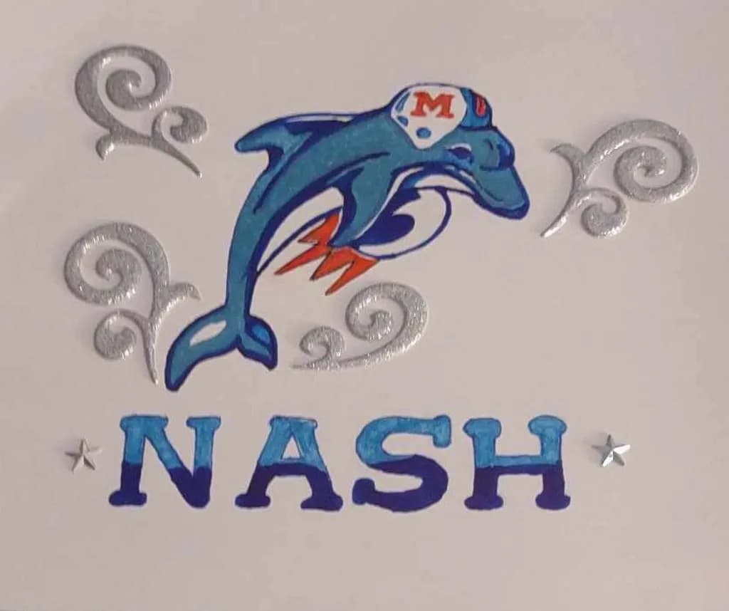 Rocket Dolphin Nash