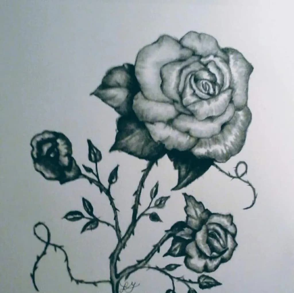 Thorned Roses