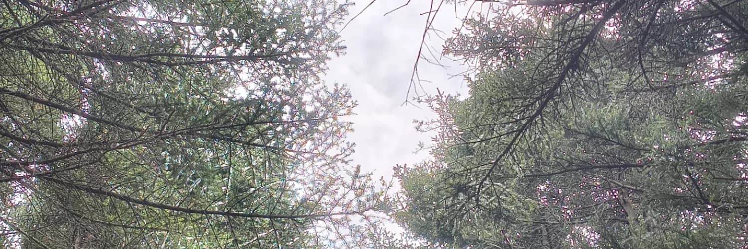 Banner del perfil