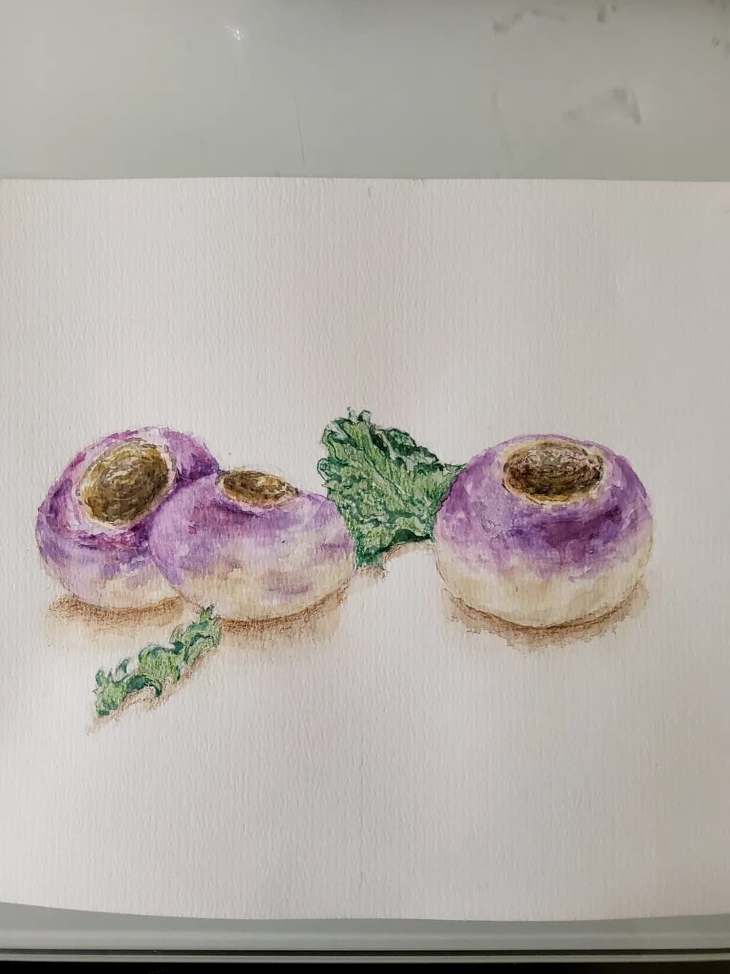 Turnip Trio