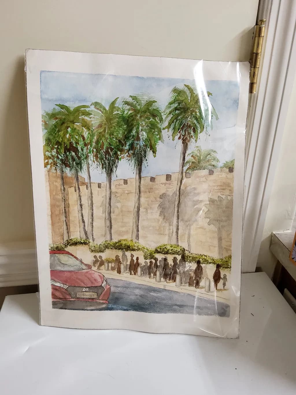 Palm Shadows