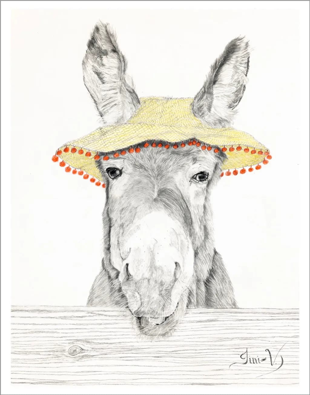Donkey in Pom-Pom Hat