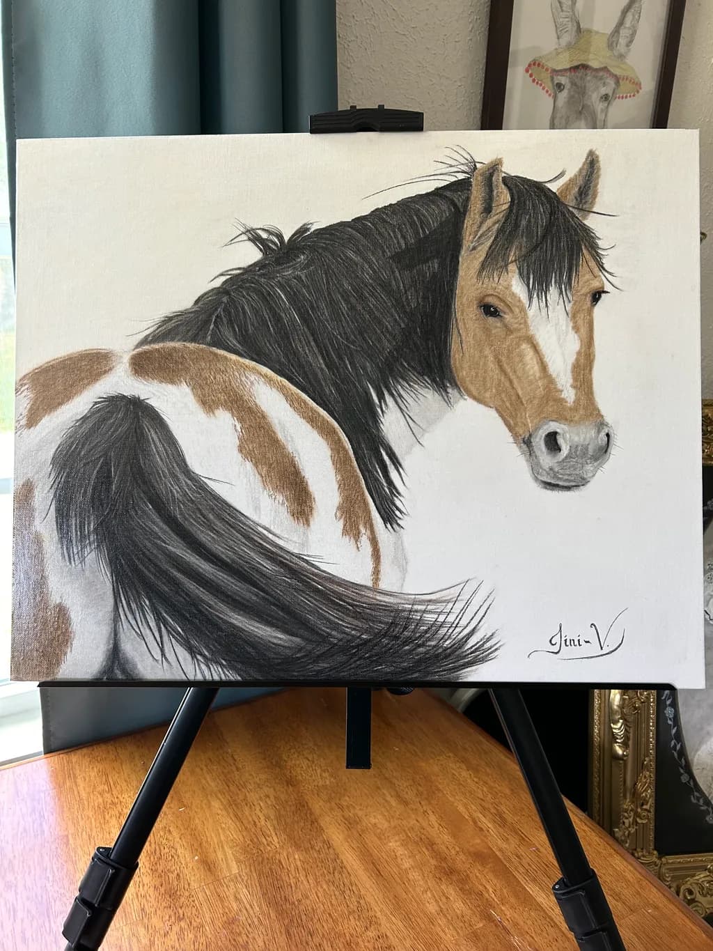 Painted Pinto