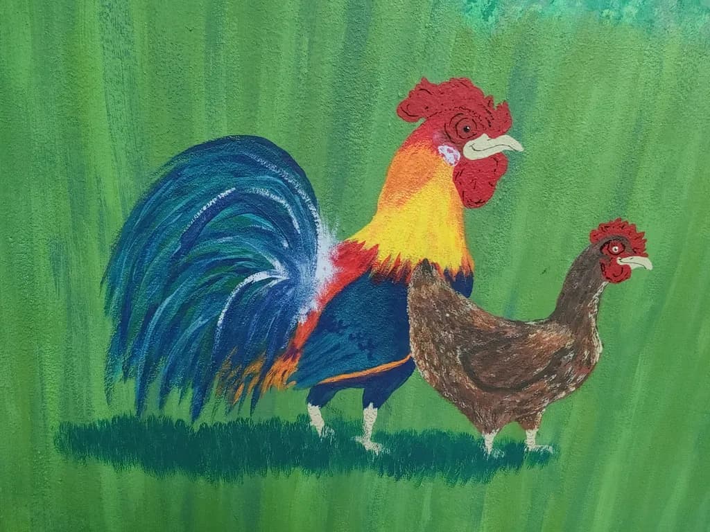 Rooster and Hen Pair
