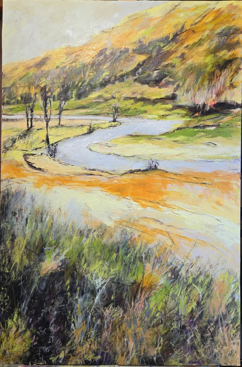Meandering Riverbank