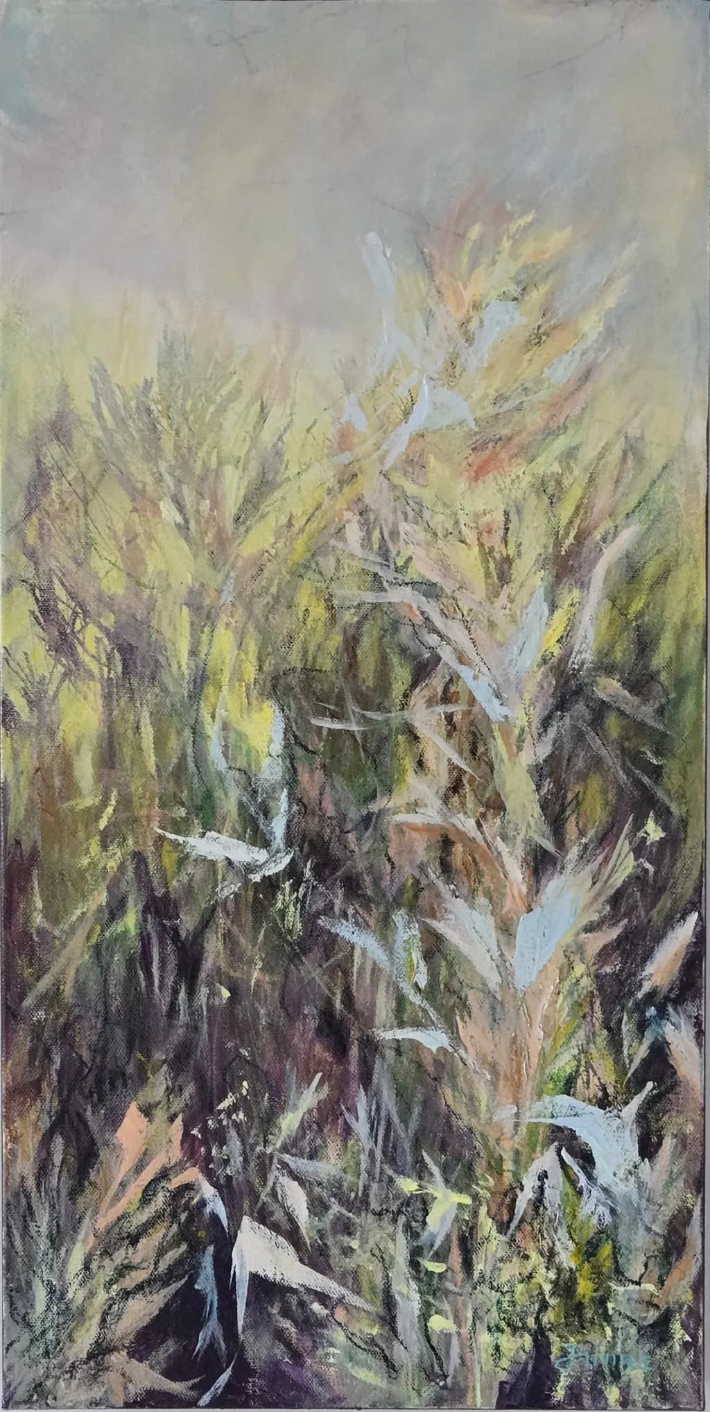 Fields of Gold
