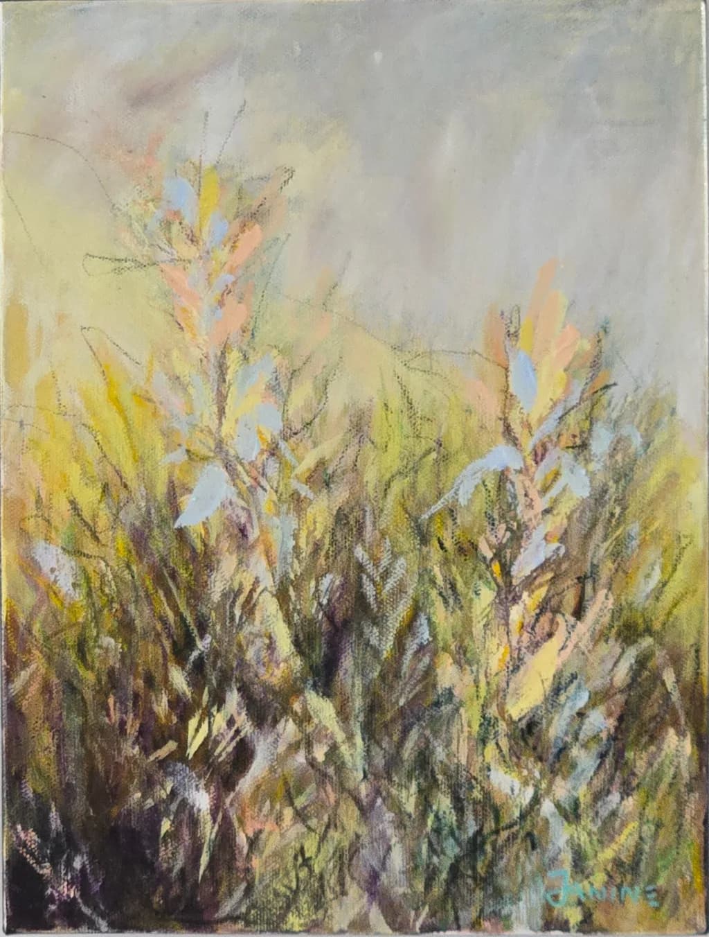 Fields of Gold