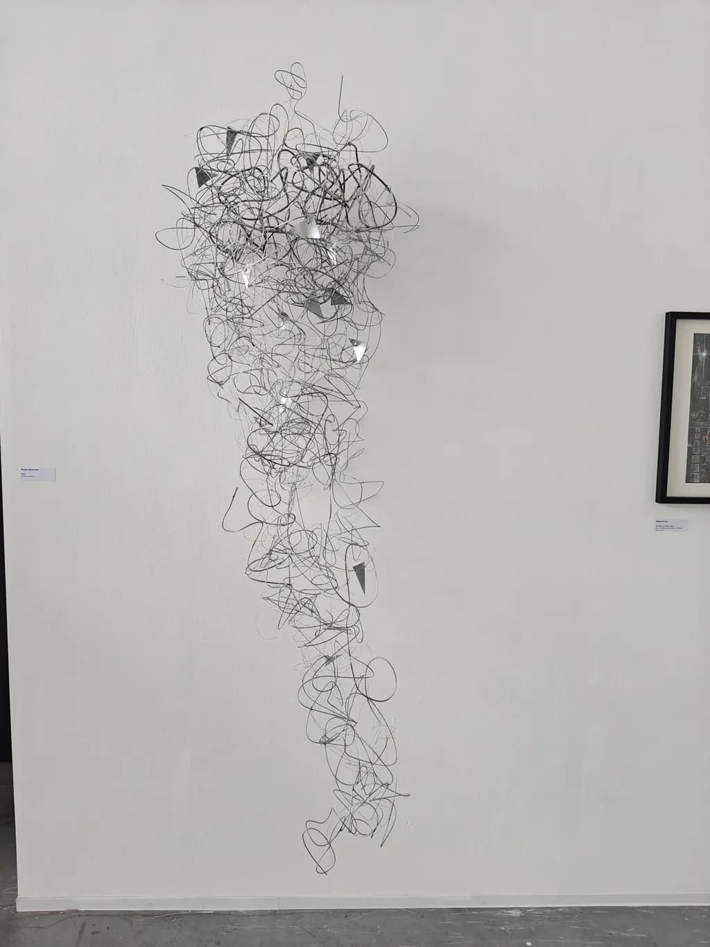 Tangled Form