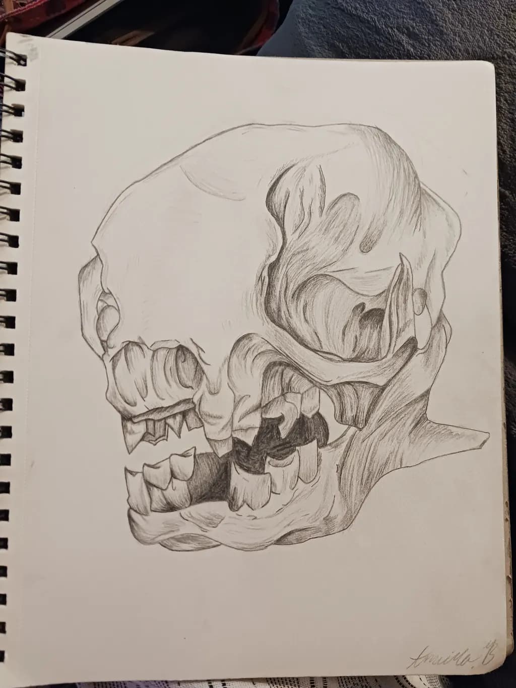 Fragmented Skull