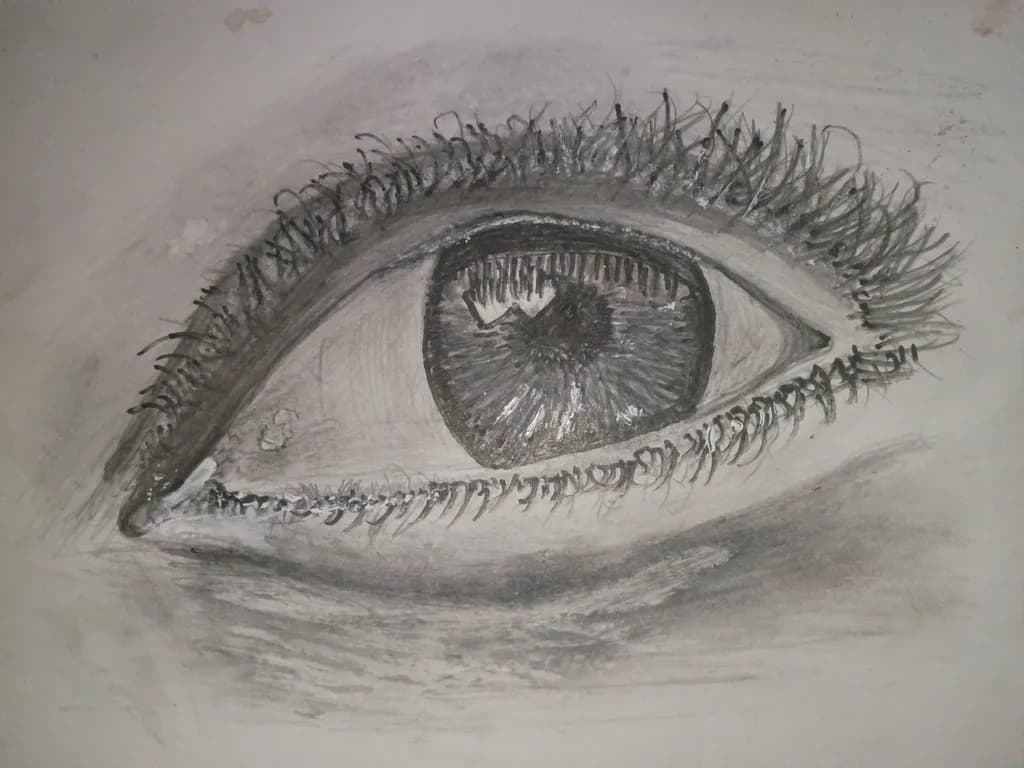 Detailed Gaze