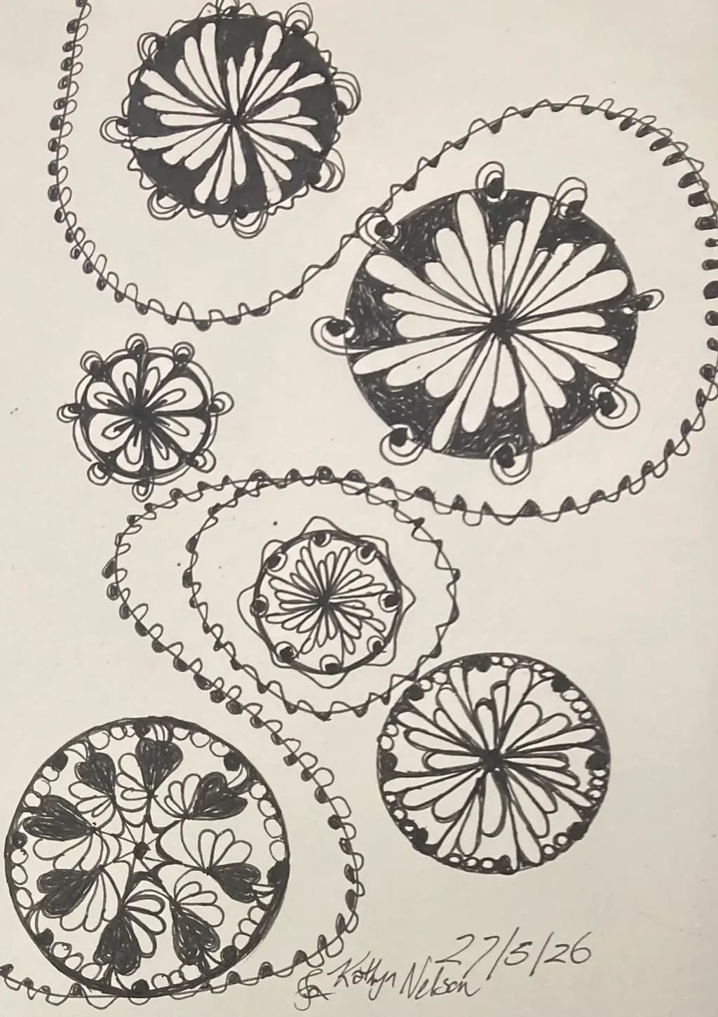 Circular Bloom Patterns