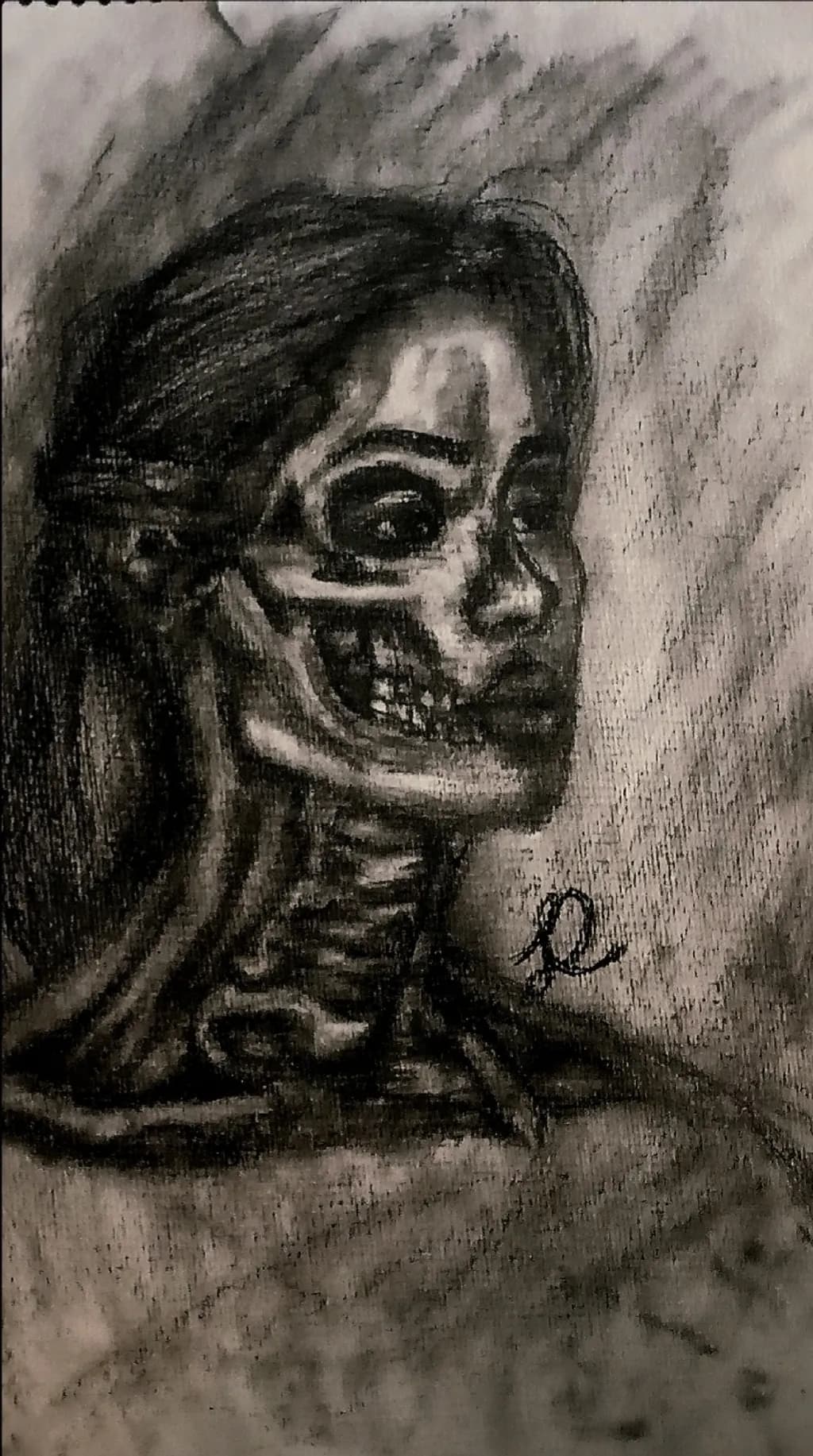 Veiled Anatomy