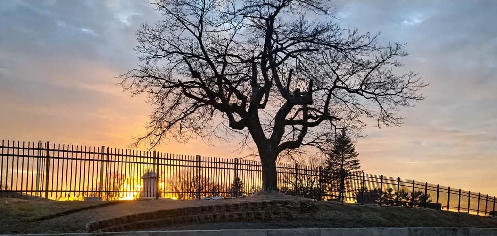Sunset Silhouette